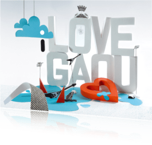 gaou2008right gaou2008right