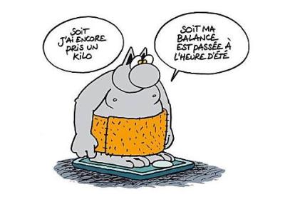 humour-regime-minceur-conseils-maigrir-illust-L-UXtOOT