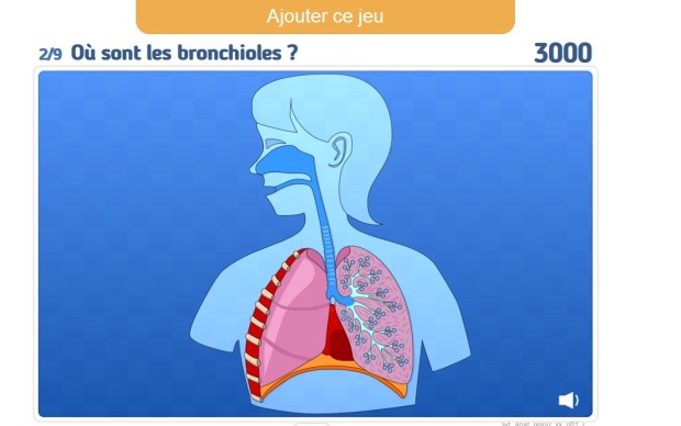 Activités jeux pedago2