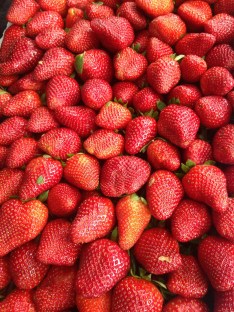 fraises-ouaga-ayyahh