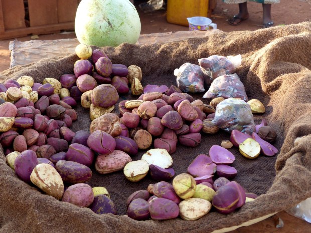 Source : Le Baobab Gourmantché